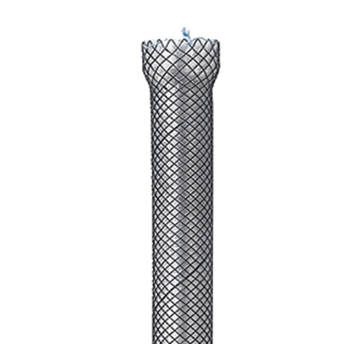 fully covered stent from mte