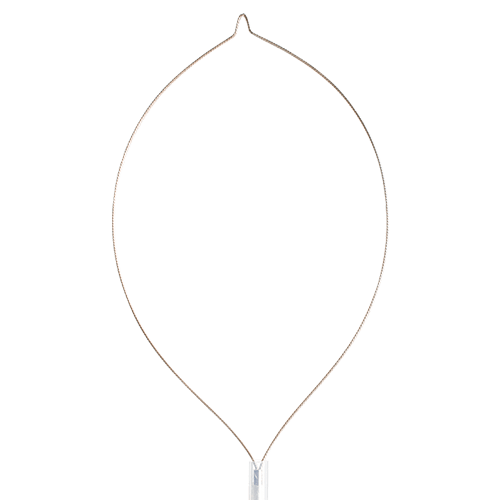 polypectomy hot snares