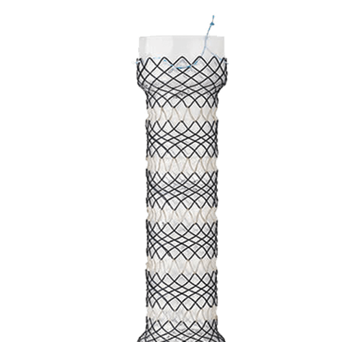 segmented stent