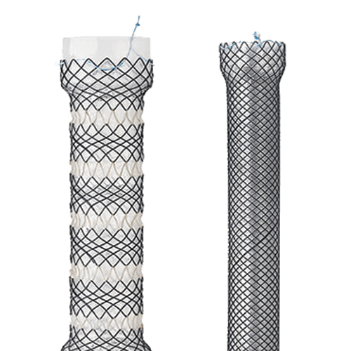 Nitinol Stents