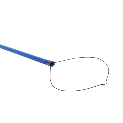 LesionHunter™ Cold Snare | Micro-Tech Endoscopy